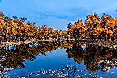 国产武侠ARPG《猿公剑：白猿觉醒》Steam页面开放 全新截图！